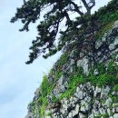 화암경로당 이미지