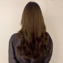 회기미용실 플랜에이치 회기점, 모카브라운 염색으로 인생 머리 찾고 온 후기