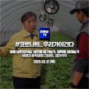 영진약국 이미지