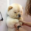 엽이네떡볶이 이미지