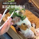 폼폼페이퍼 | 포천 아이와 가볼만한 곳 포프곤충테마파크 여름방학 실내체험