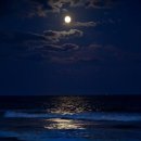 오션브리즈 이미지