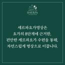 셰르파요가명상서동점