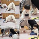 하누둥이 이미지