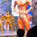 (주)세일헬스케어 이미지