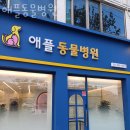 애플동물병원 | 광진구 능동 동물병원 애플동물병원 진료시간 접근성 이용후기