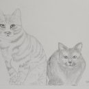 토리두두 이미지