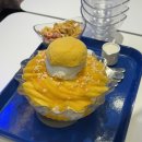 6모 후기(초장문 말 짱많음 진짜 많아서 읽다 포기할 수 있음)