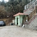 도그다움 이미지