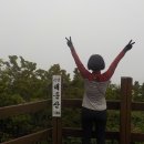 신안 경로당 | 신안 임자도 대둔산 최단코스 등산코스 왕복 2.5킬로미터 산행지도