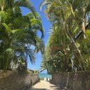 라니카이스테이 이미지