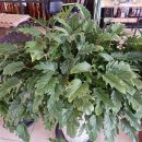 녹차골 금강휴게소 이미지