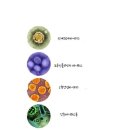 노블렌드 이미지