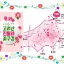 4월 6일(토) 제8차 정기산행 강화 고려산(진달래 축제 산행) "좌석방" 이미지