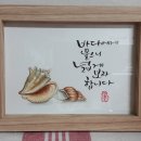 캘리네추럴
