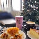 신뮤지엄 이미지