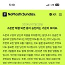 펫블리 이미지