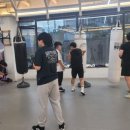 복싱 그 자체 이미지