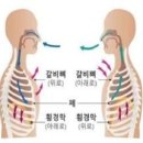 도덕경, 제15장. &#39;호흡(呼吸, Breath)’ 이미지