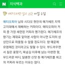 데이롱 까페 강서화곡점