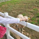 은성목장 이미지