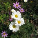 웃는아이소아청소년과의원 이미지