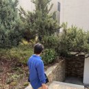 왕솔약국 이미지