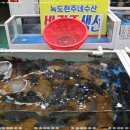 현주네수산