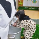 우리들농장(소) 이미지