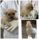 강문리 마을회관 이미지