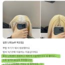 난희2호 | 은평구미용실 뿌리탈색 후 오렌지염색, 쨍하지 않게 맑은 컬러로 완성하는 방법