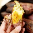 세용농장 이미지