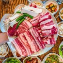 매일올레돈 이미지