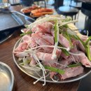 선선오리 이미지