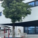 오마이코티지(oh my cottage) 이미지