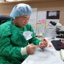 소피아여성의원 이미지