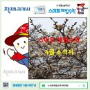 스마트해법수학 - 전주시 완산구 범안1길 36 | 스마트해법수학
