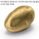 해동물병원 | 서울역차병원 6배 모자이시즘 감자배아 동결이식 및 콩주사 후기 (이식 2일차~9일차 증상)