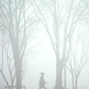 이화여인숙 이미지