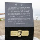 당포관광농원 | 6. 통영의 경관-볼거리와 통영의 섬