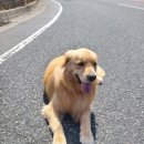 대둔산휴게소