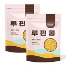 루핀