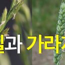 바다의왕국 이미지