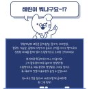 맛있개냥 이미지