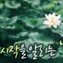 입하