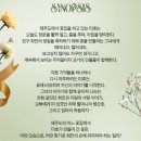 꽃 별이 지나 이미지