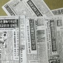 개구리노래광장