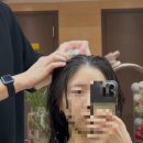 명동PC | 명동 미용실 추천 : 이철헤어커커 명동 1호점 (헤드스파 모발 클리닉 후기)