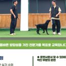 올바른 참견 이미지