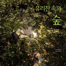 2023 제 3회 활동도서 - 유리잔 속의 숲 이자벨 리크 글그림/김이슬 역 | 이마주 이미지